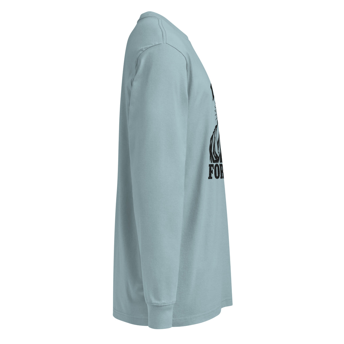 Agave I Died for This long-sleeve tee, right-side view.