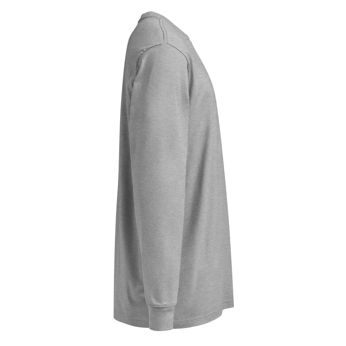 Carbon Grey Kelly Clarkson long-sleeve tee, right-side view.